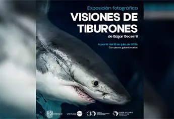 Gran Acuario Mazatlán celebrará la Semana del Tiburón 2026 con exposiciones y actividades para toda la familia