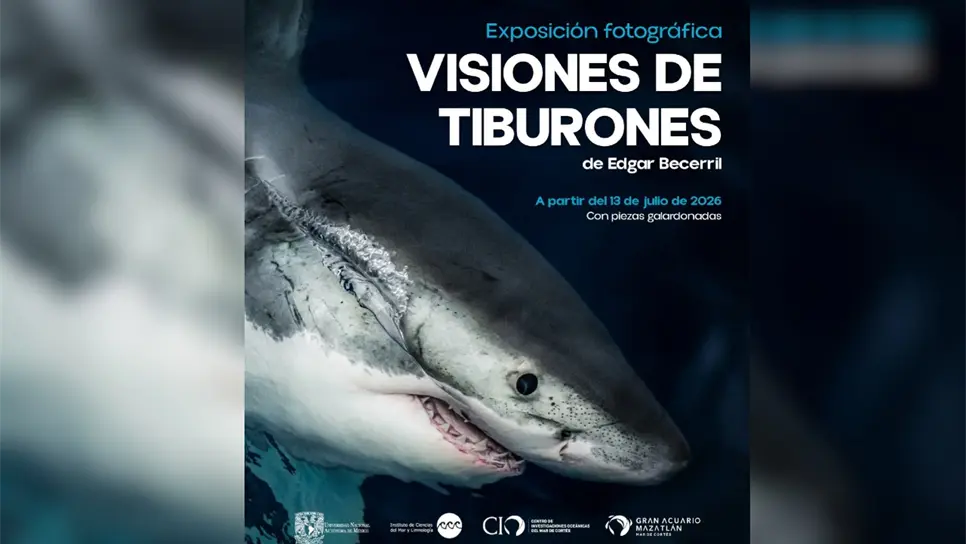 FOTO: Luz Noticias.