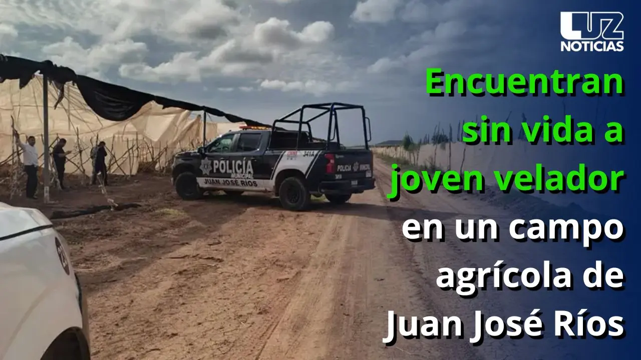 Encuentran sin vida a joven velador en un campo agrícola de Juan José Ríos Encuentran sin vida a joven velador en un campo agrícola de Juan José Ríos