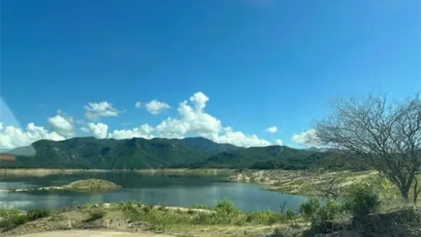 Nota Relacionada de Agro