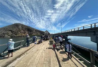 Puente del Maviri en Los Mochis entra en licitación; obra iniciará en septiembre