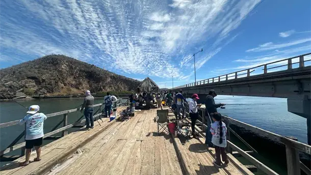 Nota Relacionada de Sinaloa