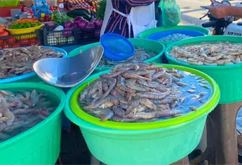 ¿Cuánto cuesta el kilo de camarón más barato con las changueras, Mazatlán, en julio?