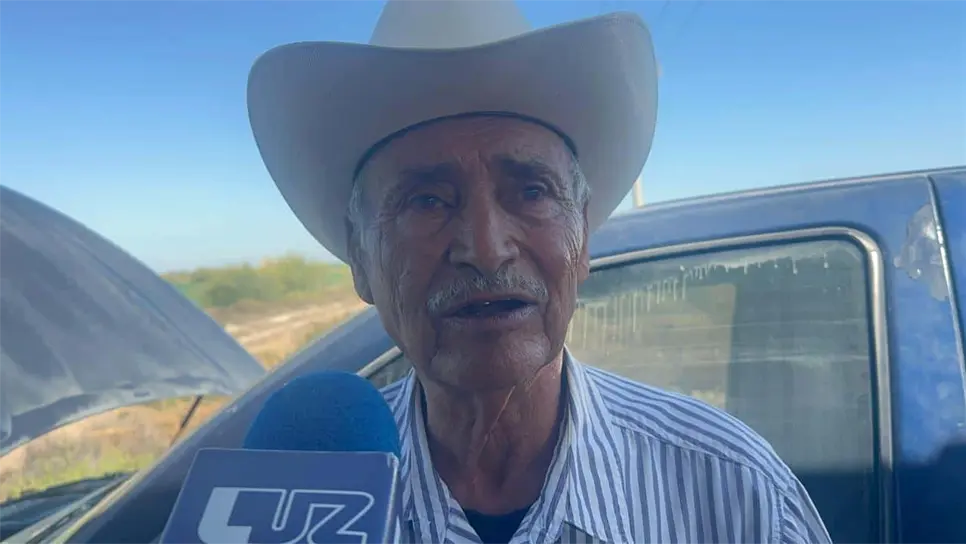 Trigueros de Sinaloa caen en cartera vencida; SADER prometió regionalizar pagos