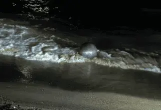 Imagen Placeholder Imagen Placeholder