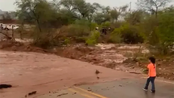 Nota Relacionada de Sinaloa