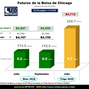 Maíz repunta y se acerca a los 6 mil pesos por tonelada; inicia la semana con ganancias Maíz repunta y se acerca a los 6 mil pesos por tonelada; inicia la semana con ganancias