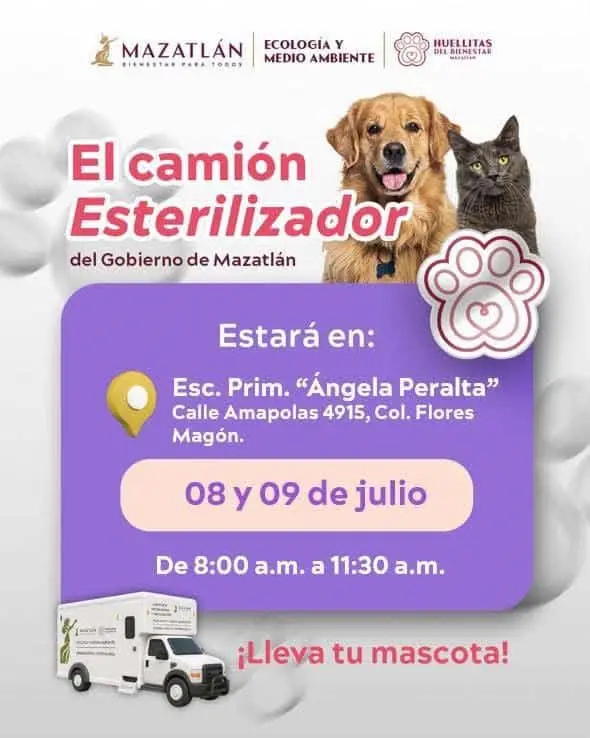 Imagen Placeholder Imagen Placeholder