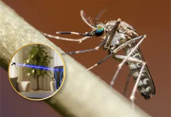 Crean láser para acabar con los MOSQUITOS en pleno vuelo y así funciona
