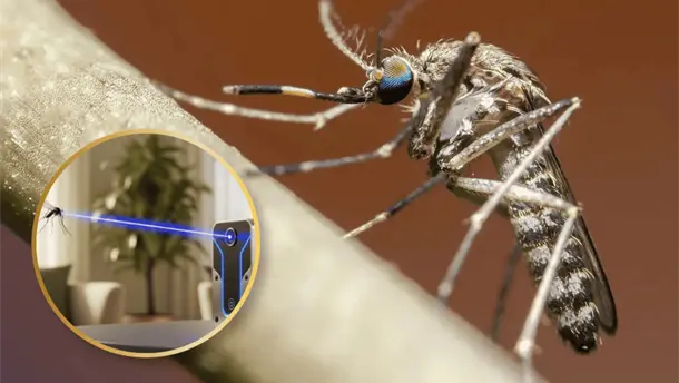 Nota Relacionada de Tecnolog&iacute;a
