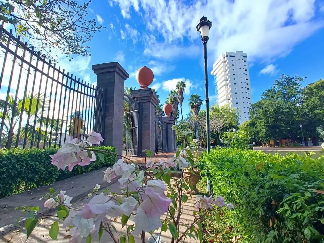Imagen Placeholder