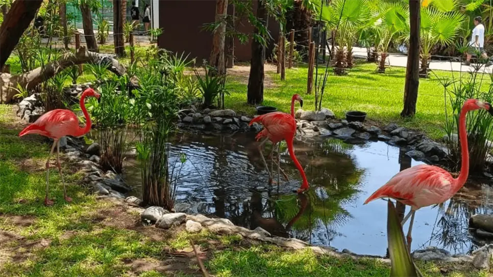 FOTO: Mayhan Barraza.