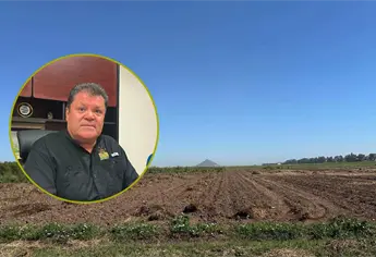 Productores de Sinaloa tienen agua, pero no dinero para sembrar