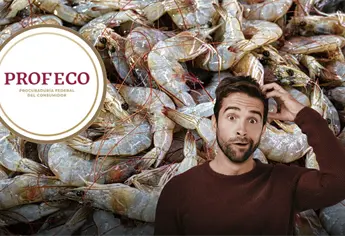 Tips para escoger los mejores camarones para tus platillos, según Profeco