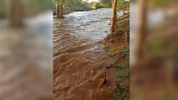 Nota Relacionada de Sinaloa