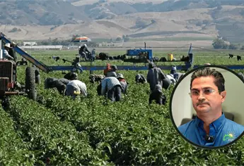 Cosecha Segura: miles de jornaleros agrícolas fueron escoltados en Sinaloa