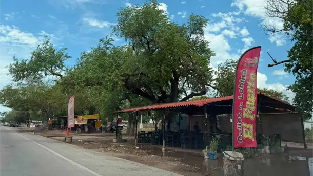 Nota Relacionada de Sinaloa