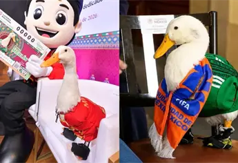 ¿Cuánto cuesta el cachito del Pato Merlín y cuándo es el sorteo de la Lotería Nacional en su honor?