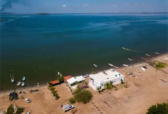 Rescatan delfín de una red en Ohuira; Conapesca acusa a dos cooperativas