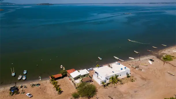 Nota Relacionada de Sinaloa