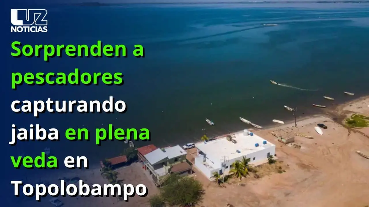 Sorprenden a pescadores capturando jaiba en plena veda en Topolobampo
