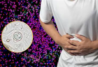 ¿Qué es la cyclospora? El parásito que provocó enfermedad intestinal en habitantes de 21 estados de EU