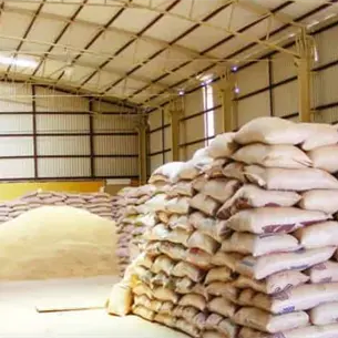 ¿Qué pasa con el frijol en Sinaloa? Productores siguen sin vender su cosecha ¿Qué pasa con el frijol en Sinaloa? Productores siguen sin vender su cosecha