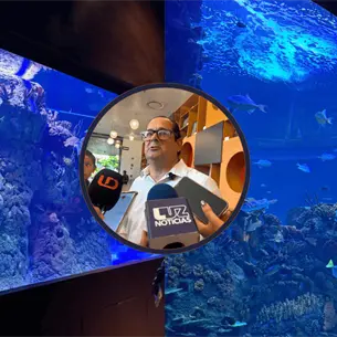 Vacaciones impulsan afluencia en el Gran Acuario Mazatl&aacute;n; prev&eacute;n recibir 100 mil visitantes
