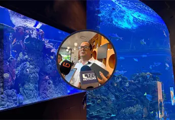 Vacaciones impulsan afluencia en el Gran Acuario Mazatlán; prevén recibir 100 mil visitantes