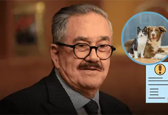 Caso Pedro Sola: ¿Qué es la apología al maltrato animal? Por este delito denuncian al conductor de TV