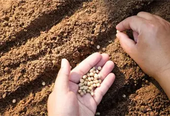 Semillas certificadas dan mayor certeza a productores de Sinaloa: INIFAP