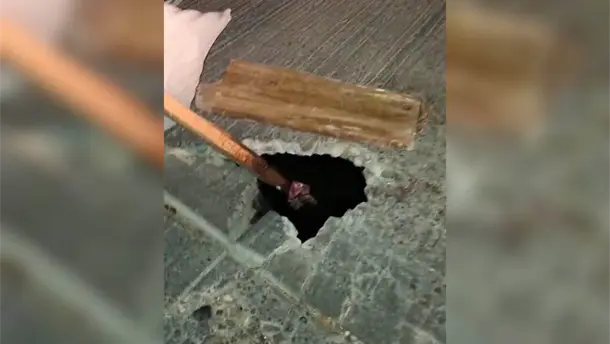 Nota Relacionada de Sinaloa
