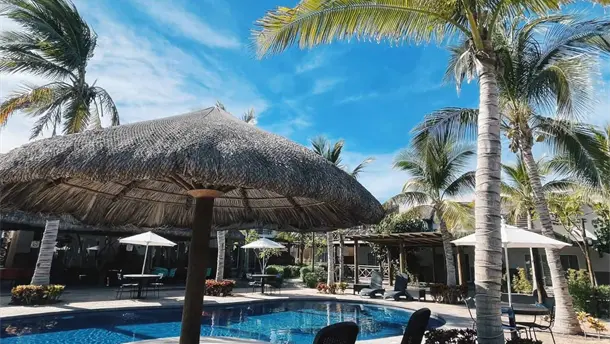 Nota Relacionada de Sinaloa