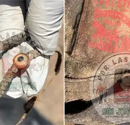 Rastreadoras localizan cuatro cuerpos en fosas clandestinas de El Roble, Elota Rastreadoras localizan cuatro cuerpos en fosas clandestinas de El Roble, Elota