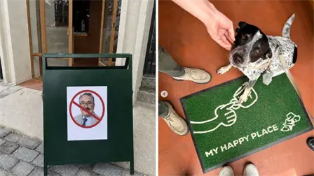 Pedro Sola es vetado de un restaurante pet friendly por sus declaraciones sobre el maltrato animal Pedro Sola es vetado de un restaurante pet friendly por sus declaraciones sobre el maltrato animal