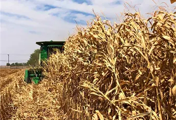 Sinaloa planea sembrar más de 813 mil hectáreas en el  ciclo agrícola 2026-2027