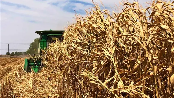 Nota Relacionada de Agro