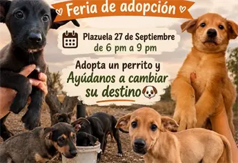 Los cachorros de El Maviri buscan una familia; realizar&aacute;n feria de adopci&oacute;n este fin de semana