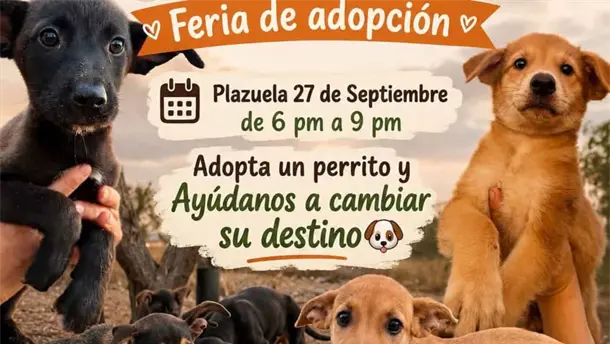 Nota Relacionada de Sinaloa
