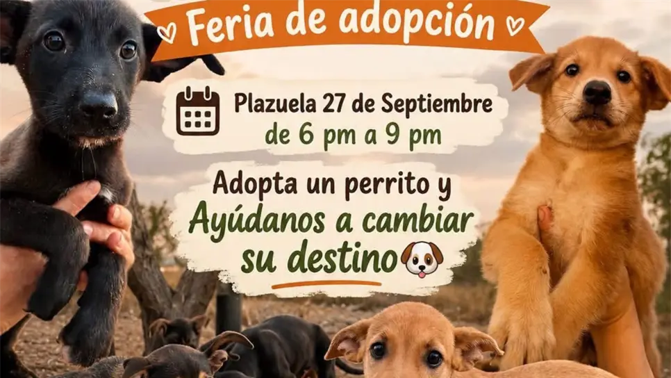 Los cachorros de El Maviri buscan una familia; realizarán feria de adopción este fin de semana
