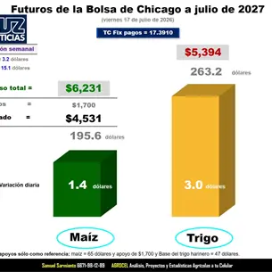El trigo sube 15.1 dólares por tensión entre Rusia y Ucrania El trigo sube 15.1 dólares por tensión entre Rusia y Ucrania