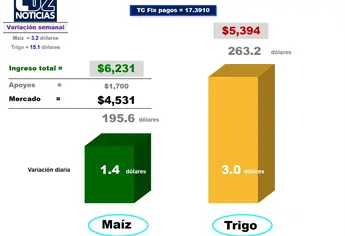 El trigo sube 15.1 dólares por tensión entre Rusia y Ucrania