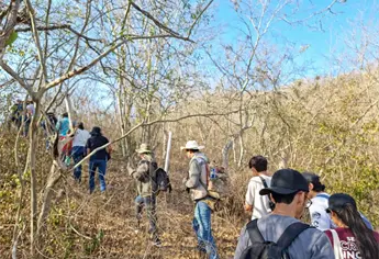 Top 3 lugares para hacer senderismo en Mazatlán 