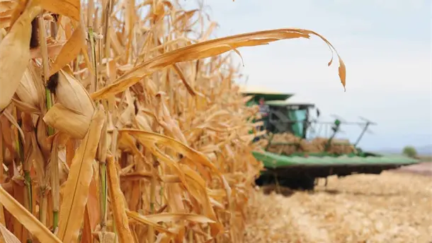 Nota Relacionada de Agro