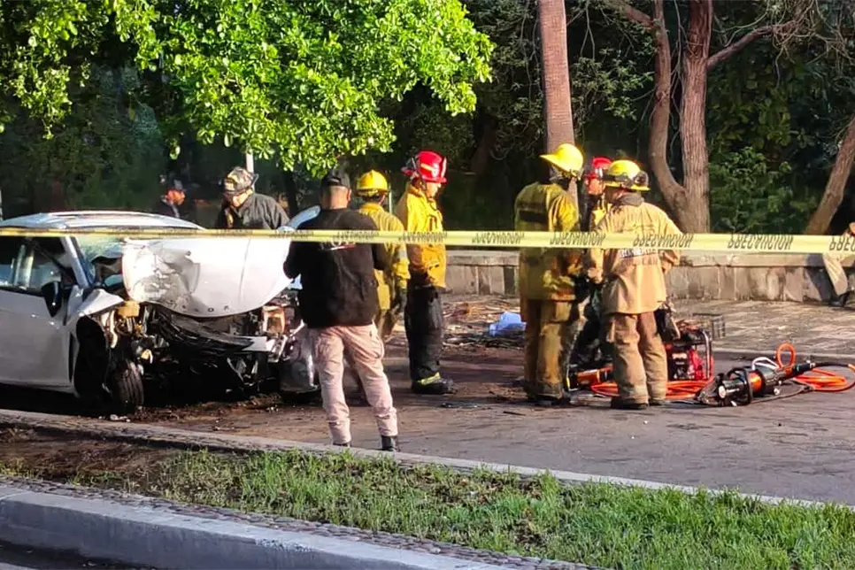 Conductor muere al chocar contra una palmera sobre el malecón viejo en Culiacán Conductor muere al chocar contra una palmera sobre el malecón viejo en Culiacán