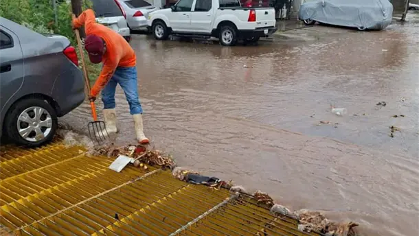 Nota Relacionada de Sinaloa