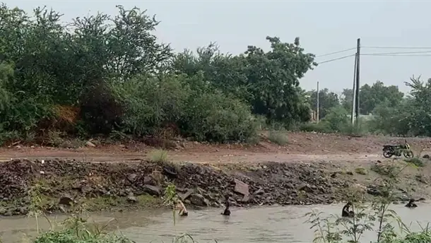 Nota Relacionada de Sinaloa