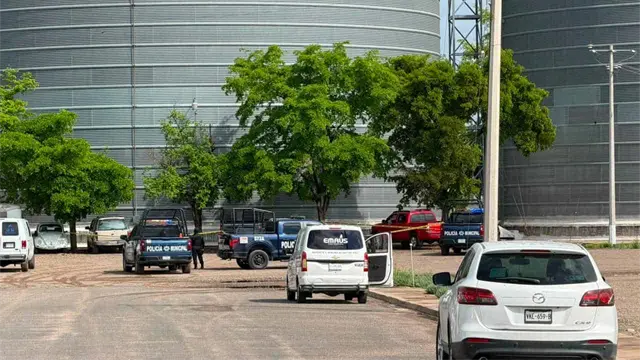 Presunta riña deja dos trabajadores sin vida en una empresa semillera de Guamúchil Presunta riña deja dos trabajadores sin vida en una empresa semillera de Guamúchil