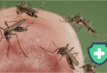 ¿Por qué los mosquitos pican más a una persona que a otra? La ciencia despeja la duda