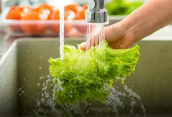 ¿Cómo desinfectar la lechuga y evitar una grave infección estomacal? Esto debes saber